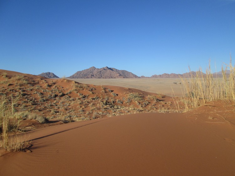desert-du-namib-elim-dune-1